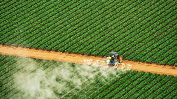 Best Affordable Exterminators  in Decatur, IN